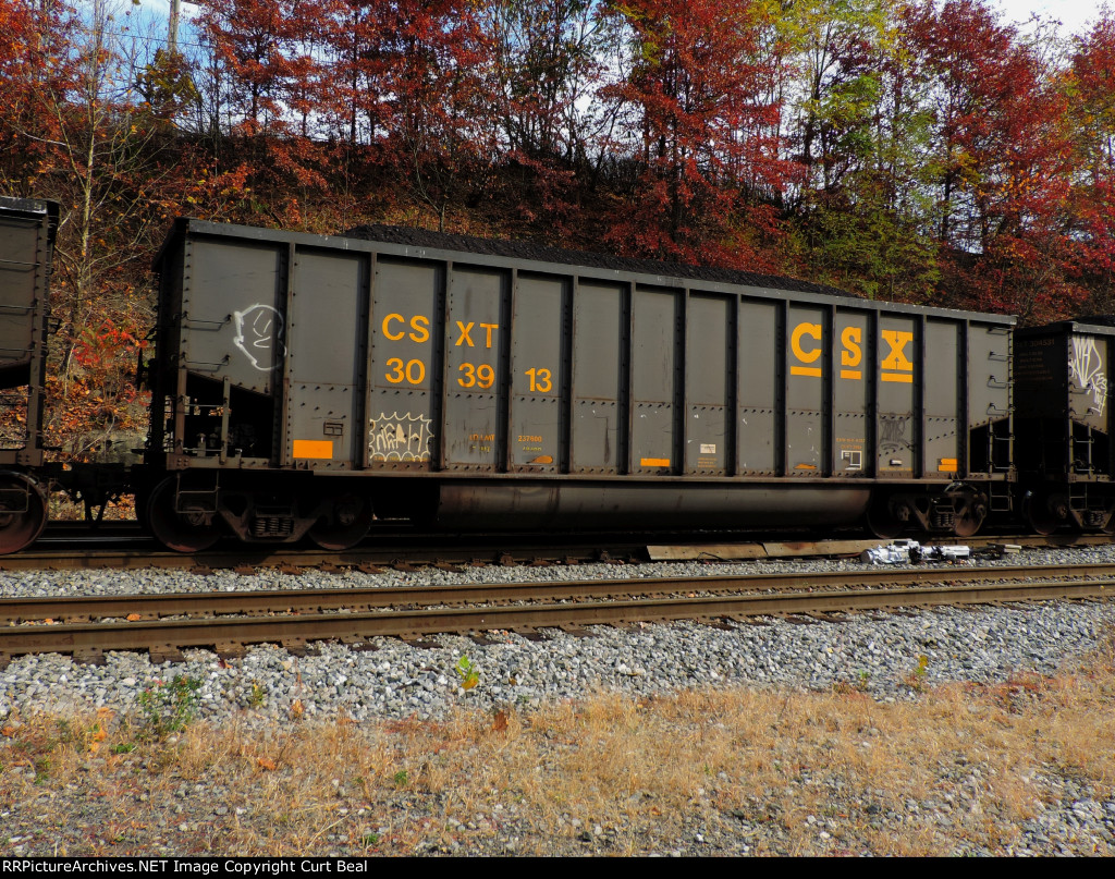 CSX 303913